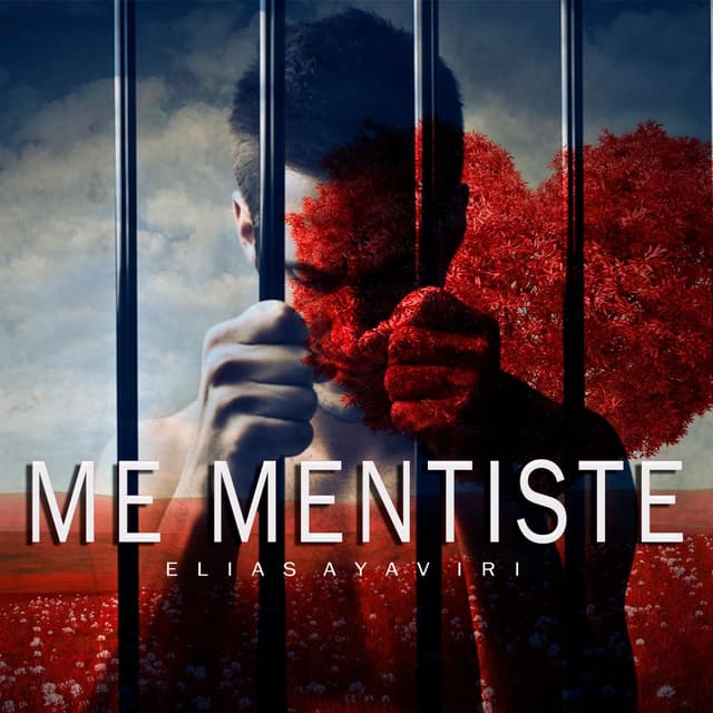 Album cover art for Me Mentiste