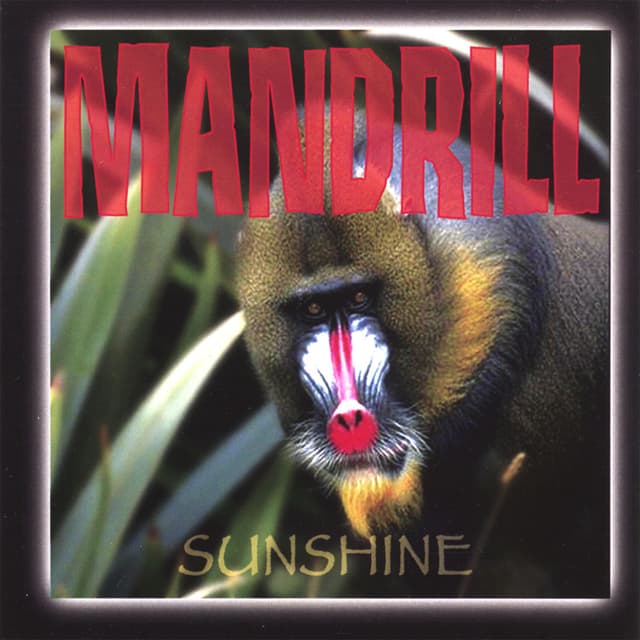 Album cover art for Sunshine
