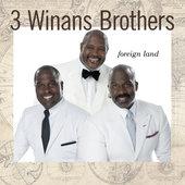 Album cover art for Foreign Land