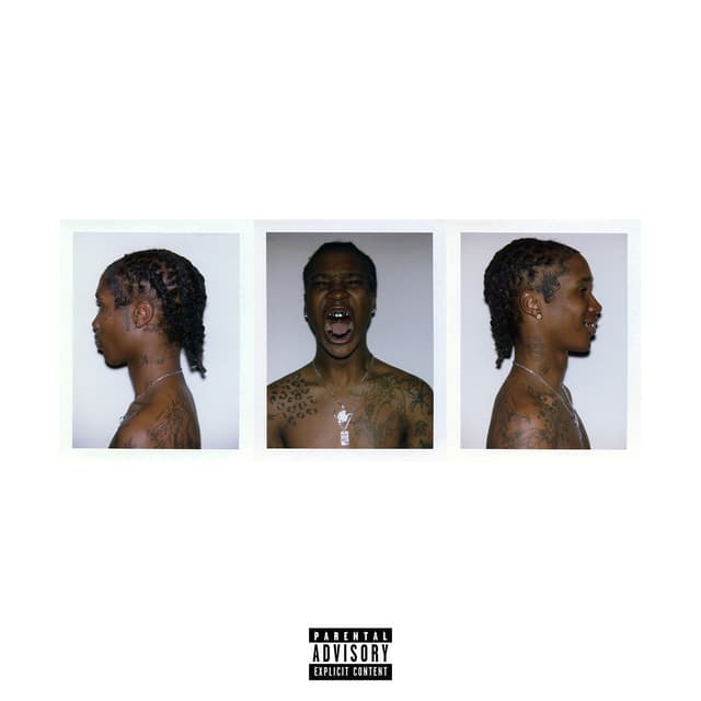 Album cover art for EMOTIONS