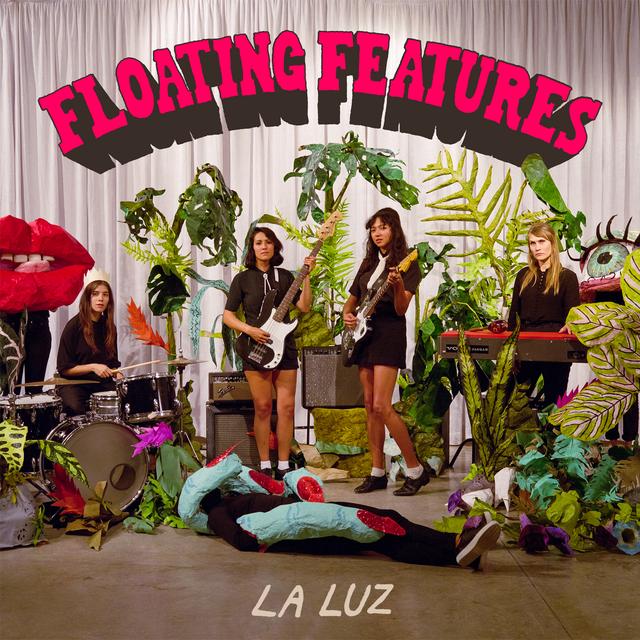 Album cover art for Floating Features