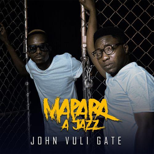 Album cover art for John Vuli Gate