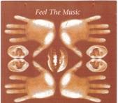 Album cover art for Feel the Music