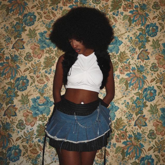 Album cover art for Mon paradis