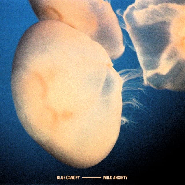 Album cover art for Mild Anxiety