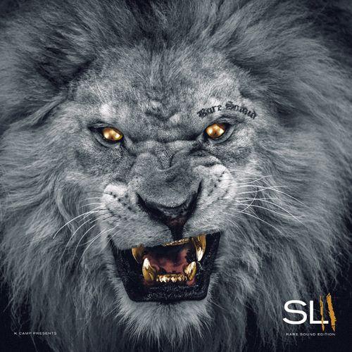 Album cover art for Slum Lords 2