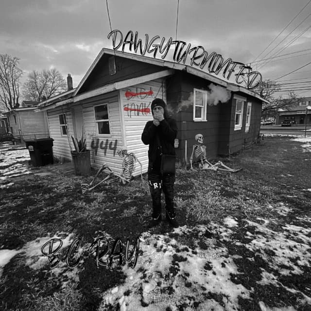 Album cover art for DAWGYTURNINFED