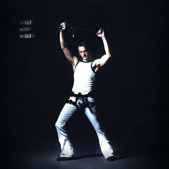 Album cover art for Wild, Wild, Wild