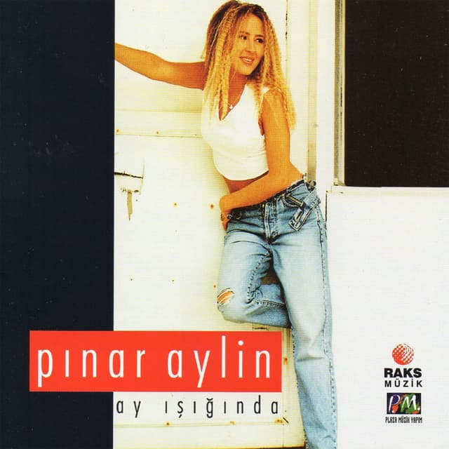 Album cover art for Ay Işığında