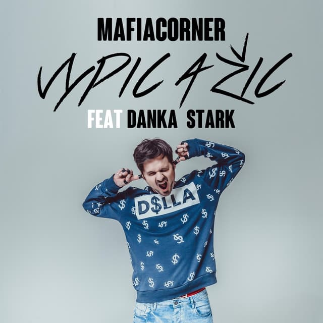 Album cover art for Vypic a Žic