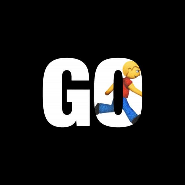 Album cover art for GO