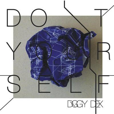 Album cover art for Do It Yourself