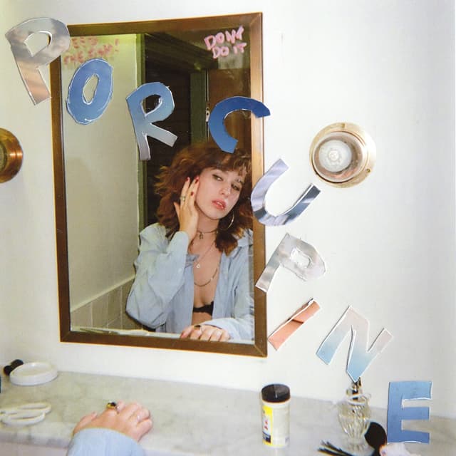 Album cover art for Porcupine