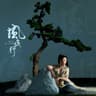 风夜行 (Feng Ye Xing)
