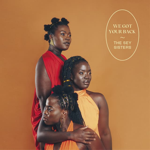 Album cover art for We Got Your Back