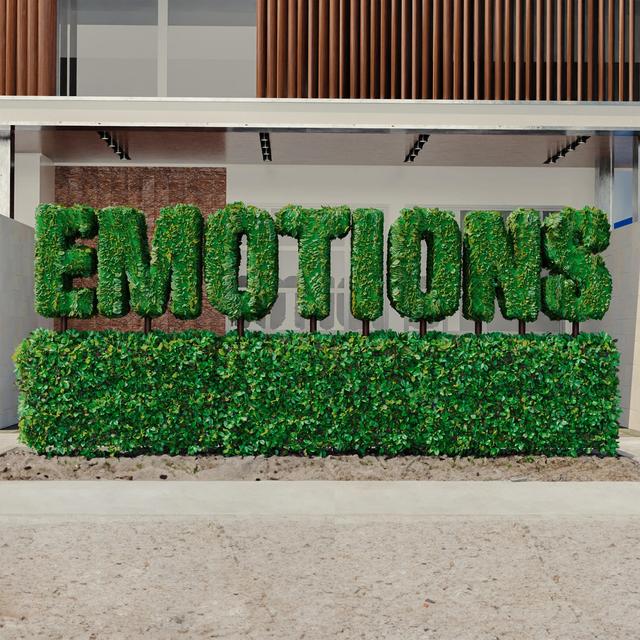 Album cover art for Emotions