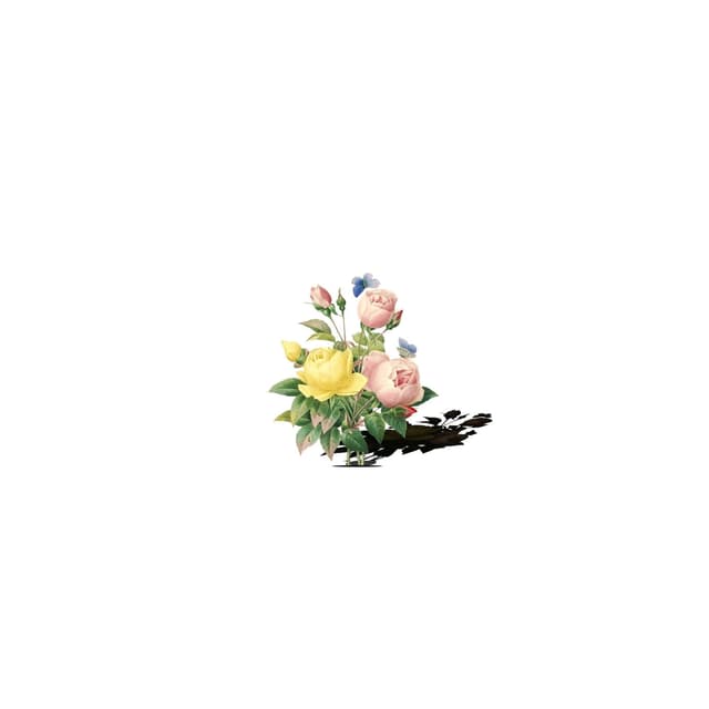 Album cover art for 春日之花
