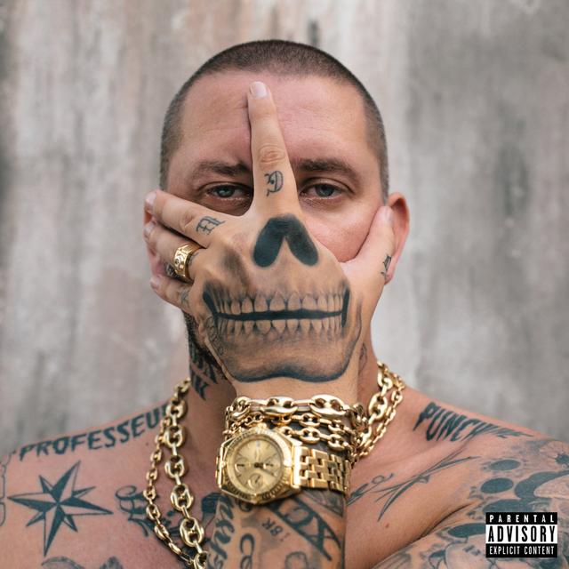 Album cover art for Professeur Punchline