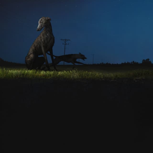Album cover art for donde van los perros