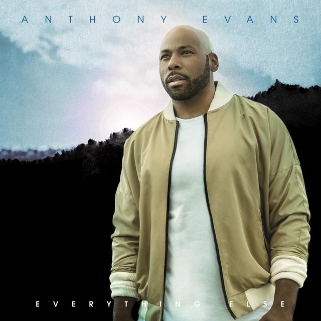 Album cover art for Everything Else