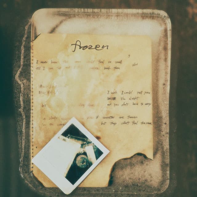 Album cover art for frozen