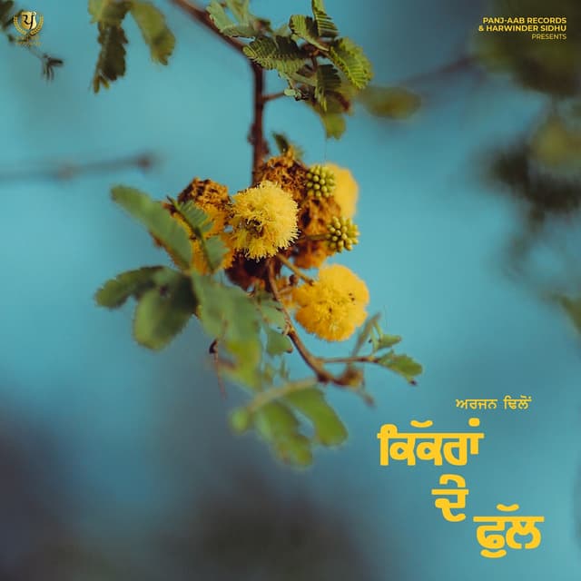 Album cover art for Kikran De Phull