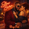 Slow Burn
