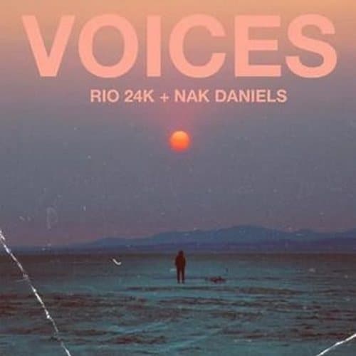 Album cover art for Voices
