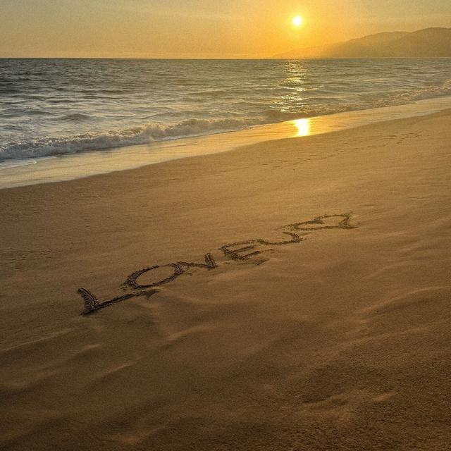 Album cover art for L.O.V.E.U