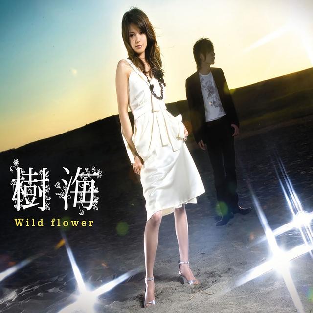 Album cover art for Wild flower