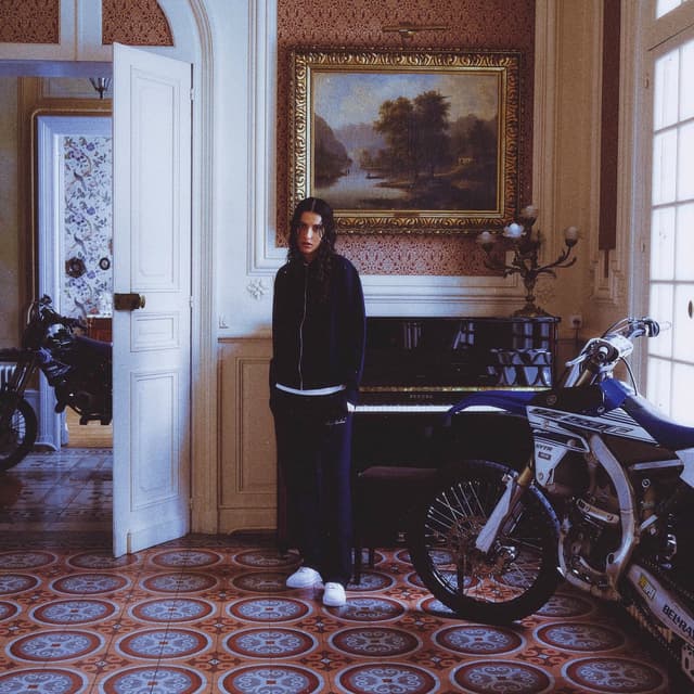 Album cover art for Rayé