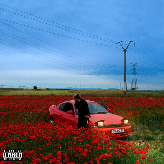 Album cover art for Gas Platino