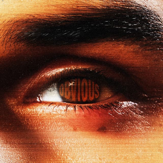 Album cover art for Obvious