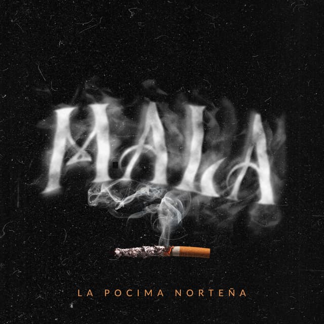 Album cover art for Mala