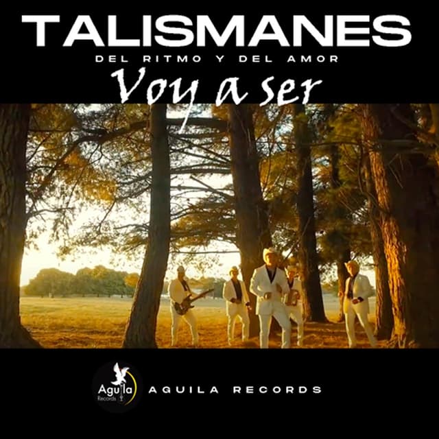 Album cover art for Voy a Ser