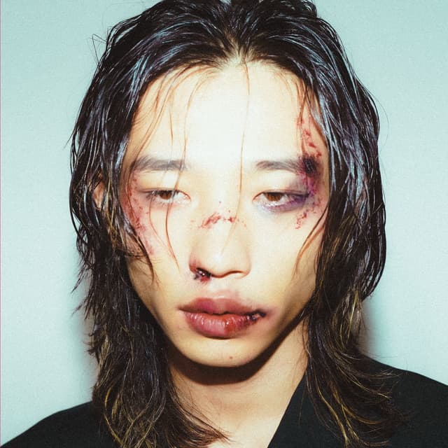 Album cover art for Fall Down 2