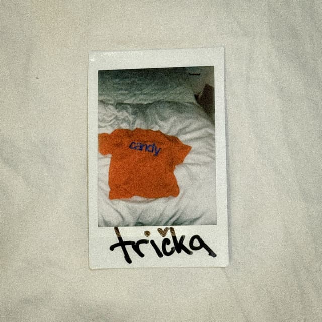 Album cover art for trička