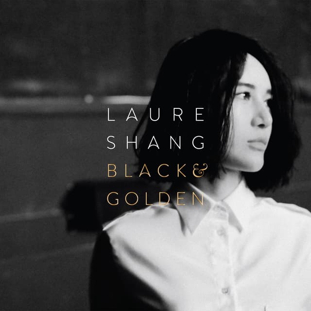 Album cover art for Black & Golden 黑金