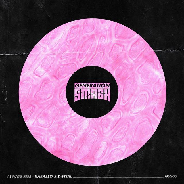 Album cover art for Always Rise