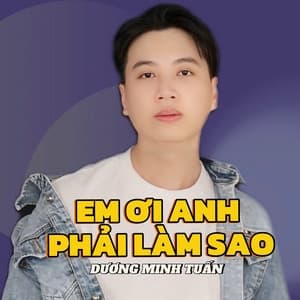 Album cover art for Em Ơi Anh Phải Làm Sao
