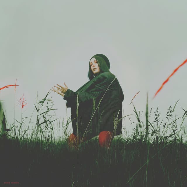 Album cover art for Myself Misspelled
