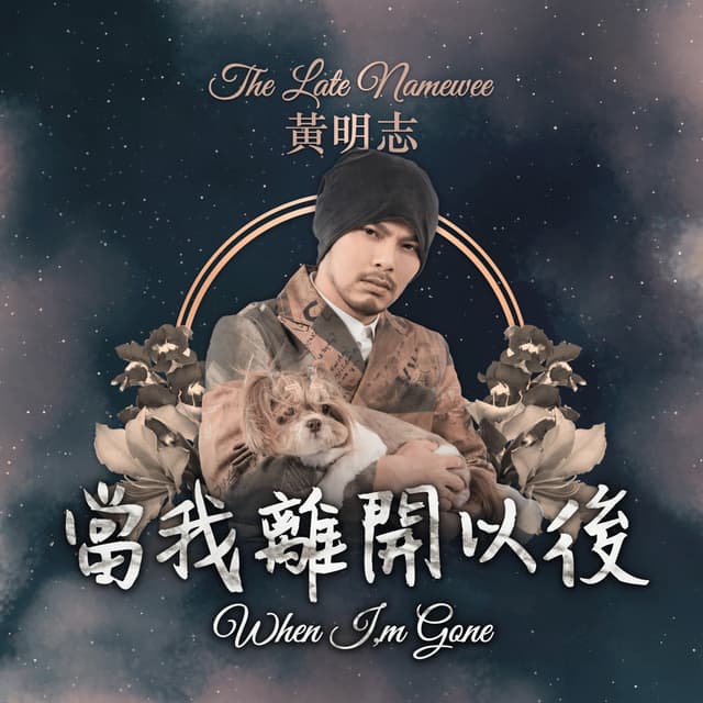Album cover art for 當我離開以後