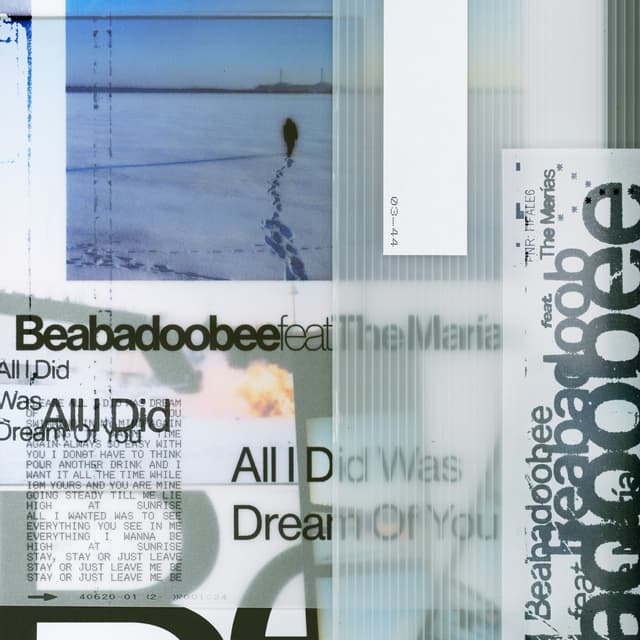 Album cover art for All I Did Was Dream of You
