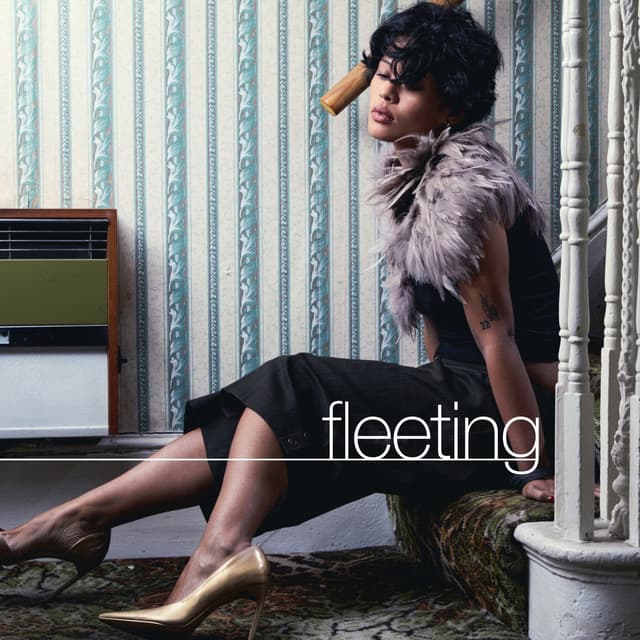 Album cover art for Fleeting