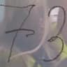 73