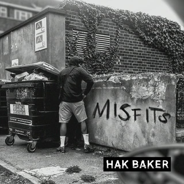 Album cover art for Misfits