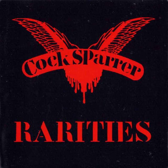 Album cover art for Rarities