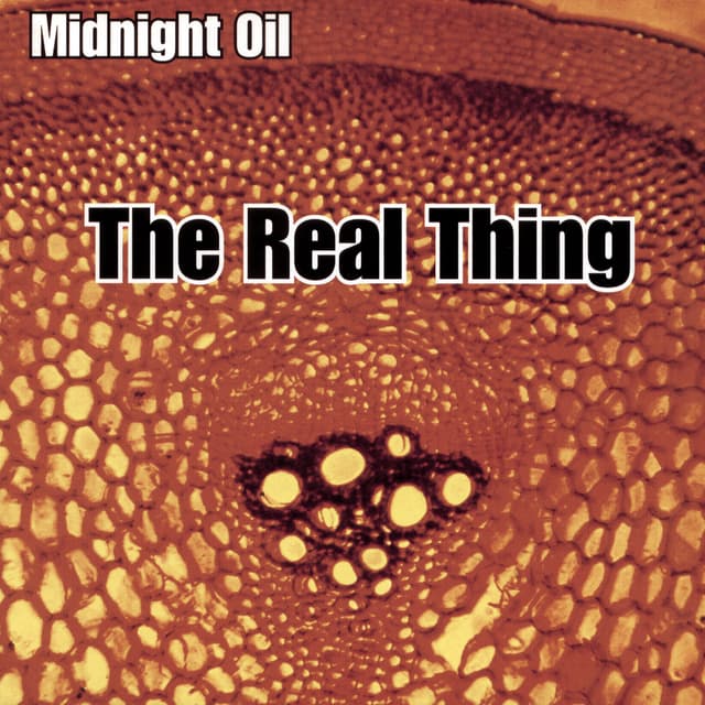 Album cover art for The Real Thing