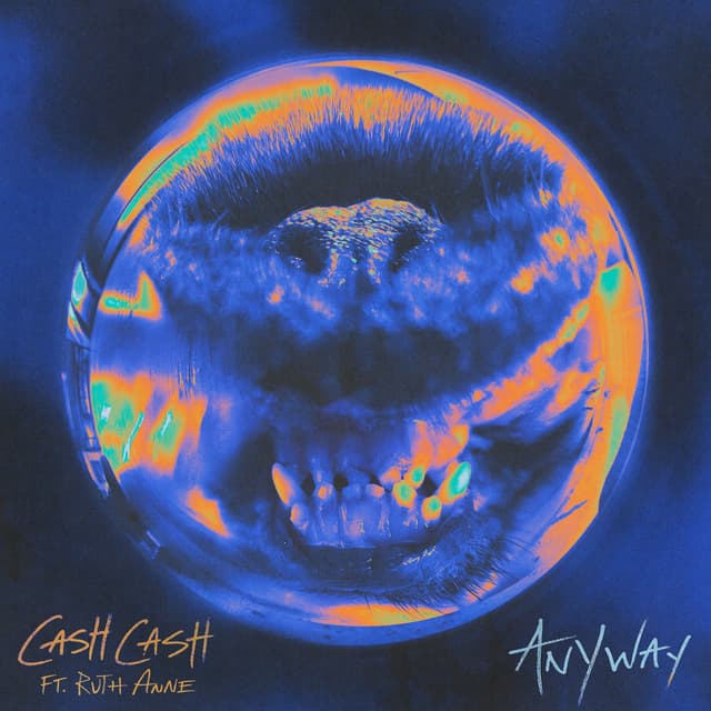 Album cover art for Anyway