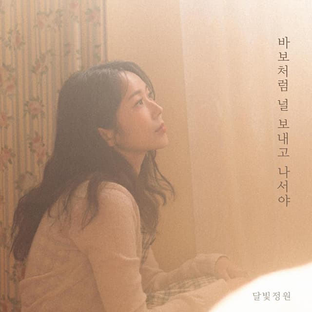 Album cover art for 바보처럼 널 보내고 나서야